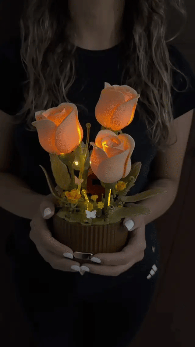 Blooming Love Eternal Rose