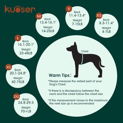 Kuoser Recovery Suit for Dogs