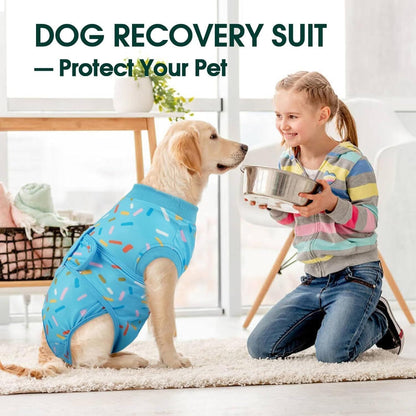 Kuoser Recovery Suit for Dogs