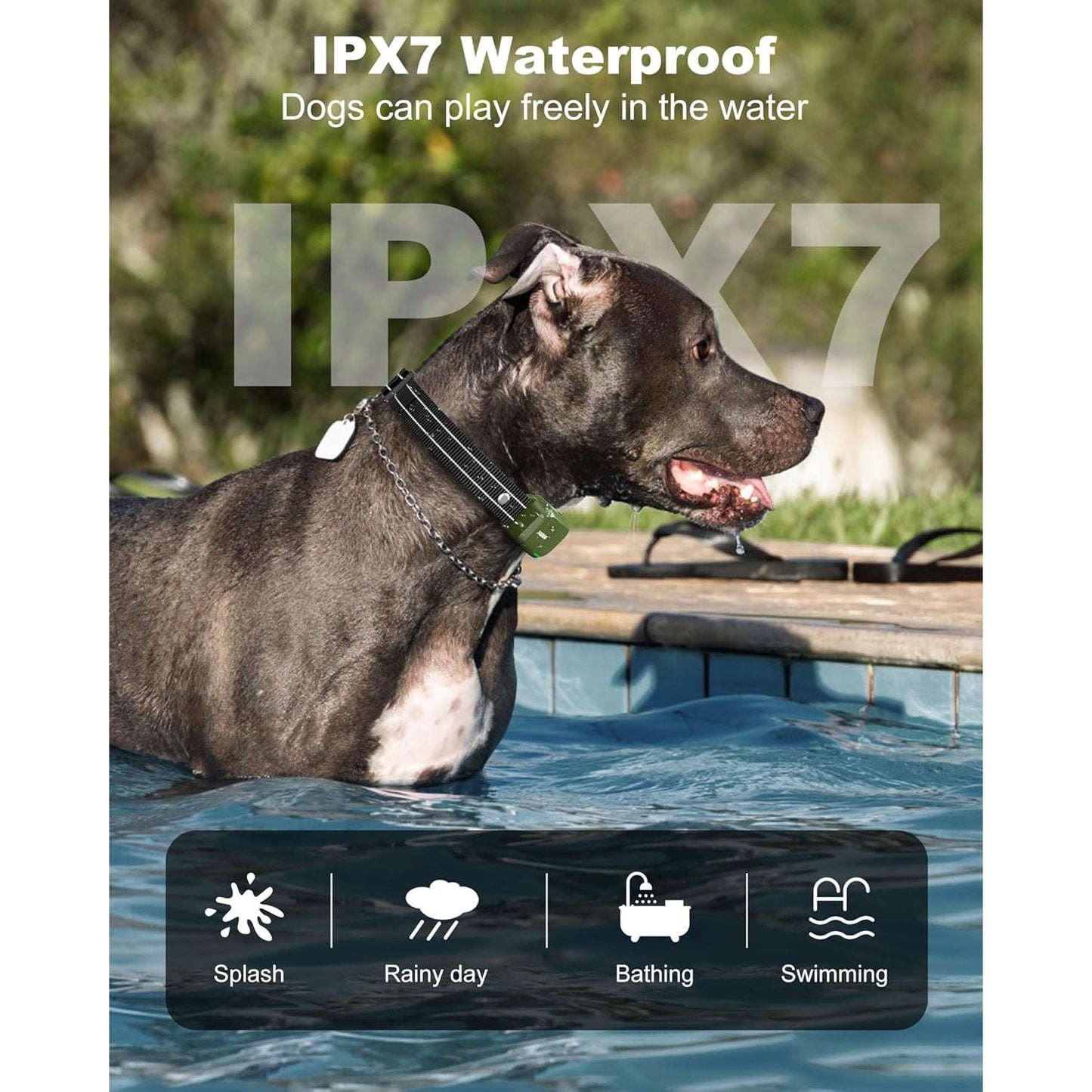 Jugbow Dog Shock Collar